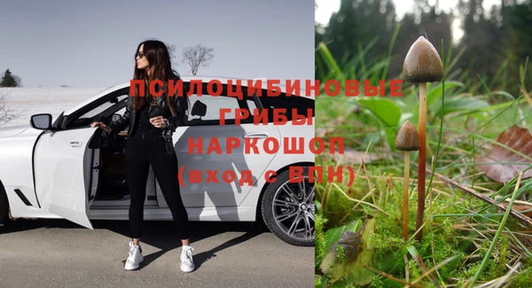 марихуана Снежногорск