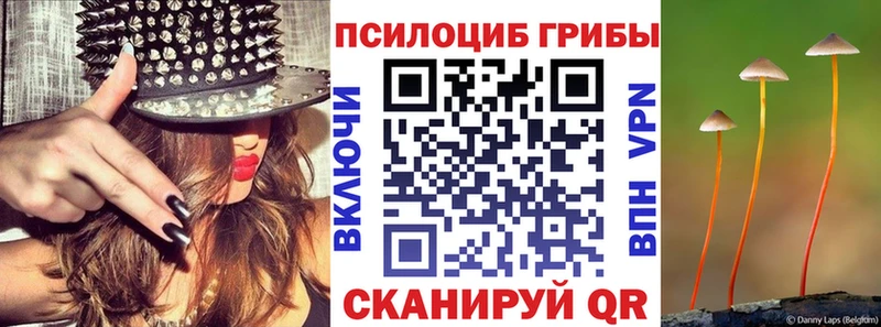 Псилоцибиновые грибы Psilocybine cubensis  Болохово 